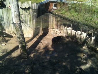 Hotel G�stehaus Peterhoff