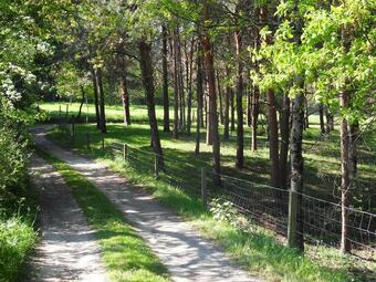 Apartamento Studio La Sauzaie