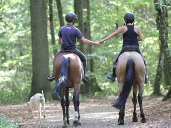 Apartamento G�te De L'ecurie La Fourasse