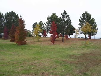 Agroturismo Sakura Vera