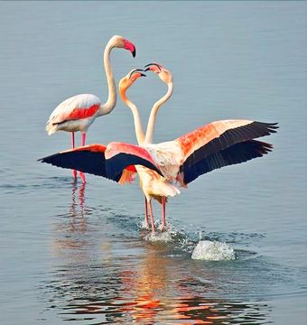 Apartamentos Ixnilatis