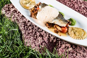 Hotel Albergo Plattenhof