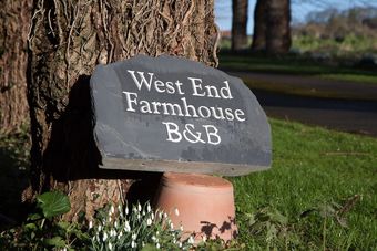 West End Flower Farm Bed And Breakfast