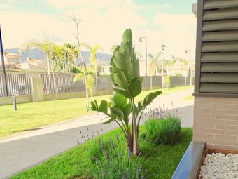 Apartamentos Malaga Los Alamos Beach