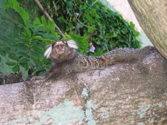 Hostal Pousada Dos Artistas
