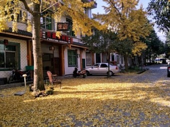 Hotel Yu Xin Leisure Inn