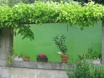 Bed & Breakfast Les Buissonnets