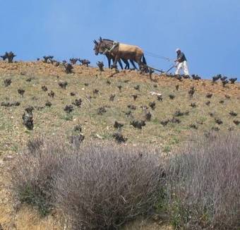 Bed & Breakfast Sierra Y Mar