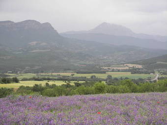 Hostal Antigua Casa Catones