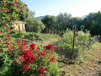 Bed & Breakfast El Diplomatico Feo (the Ugly Diplomat)