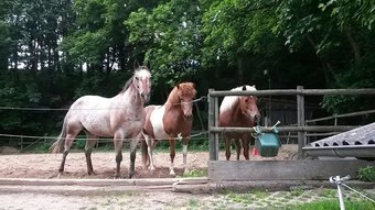 Landhotel Am Wenzelbach