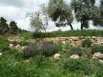 Apartamento Hort De L'aubert