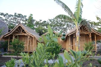 Bed & Breakfast Ekas Garden Bungalow