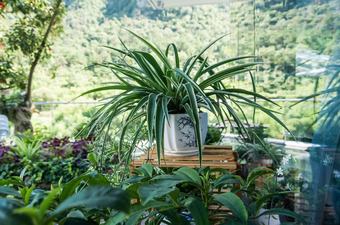 Floral Hotel Hangzhou Muxixiaolu