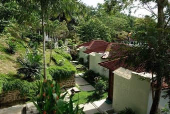 Bed & Breakfast Froggies Divers Lembeh