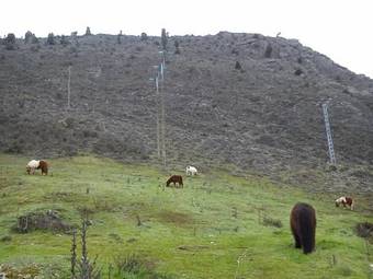 Hostal Casa Turismo Rural Pantano De Burgomillodo