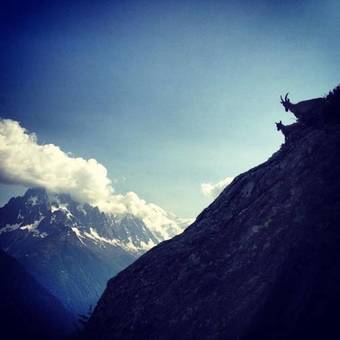 Hostal Rural Casa Moline