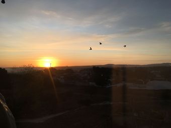 Apartamentos Bellas Flat