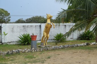 Hotel Karadiya Reach Kalpitiya