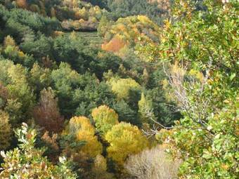 Apartamento Casa Muro