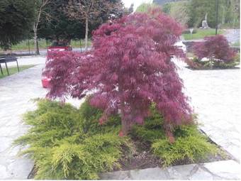 Hostal Posada Las Mozas Del Agua