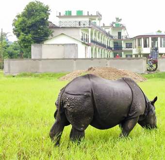 Ver fotos
