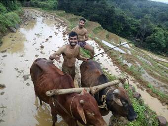 Villa Mahagedara Home Stay