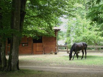 Hotel Les Chambres D'h�tes - La Faisanderie
