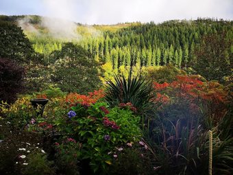 Bed & Breakfast The Old Vicarage