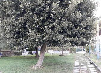 Apartamento Baia Blu Falcone