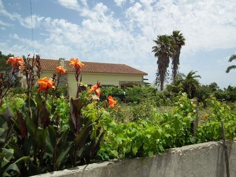 80s Retrostyle Villa