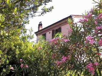 Hotel Yogalujah Holistic B&B