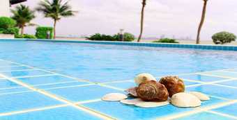 Hotel Golden Dragon Beach