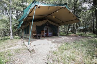 Mara Legends Camp