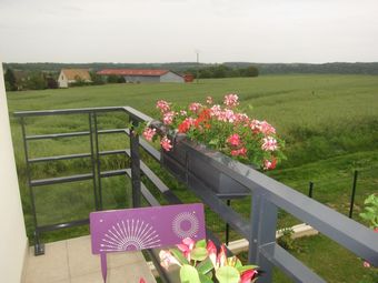 Bed & Breakfast Ballylough