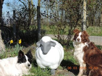 Hotel Chambres D'h�tes Le Mouton