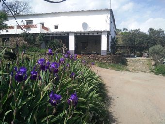 Agroturismo Casa Rural El Paraje De Berch�les