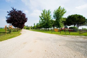 Agroturismo Agriturismo Le Cipressine