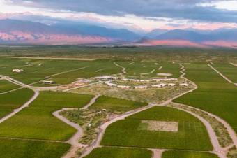 Hotel The Vines Resort & Spa