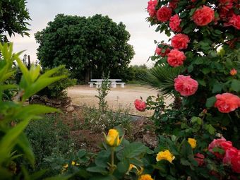 B&B Giardino Isabella