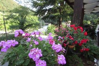 Hotel Albergo Alla Trota