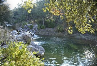 Domaine St Andrieu - Lodges