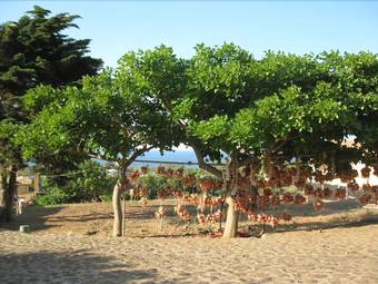 Agroturismo Agriturismo Pagliuzzo