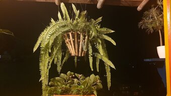 Bed & Breakfast Mirador Turistico Colina Del Sol Hotel