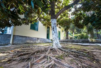 Hotel Ionian Boutique By Checkin