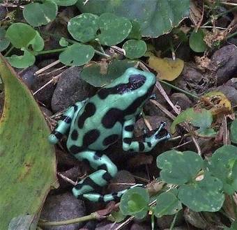 Albergue Los Mineros Guesthouse