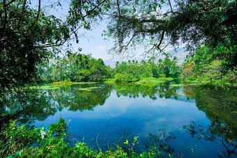 Hotel Palette Resorts- Tapovan Green County