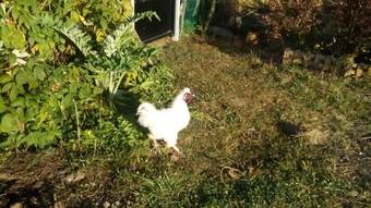 Hotel Alaguyauder La Chambre