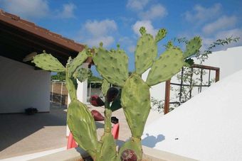 Apartamento Passa Da Nun�