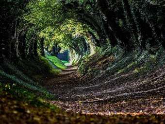 5 Charlton Mill Way B&B